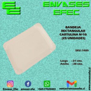 BANDEJA RECTANGULAR CARTULINA Nº10 28X21 (25 UNIDADES)