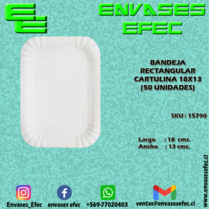 BANDEJA RECTANGULAR CARTULINA 18X13 (50 UNIDADES)