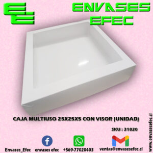 CAJA MULTIUSO 25X25X5 CON VISOR (UNIDAD)