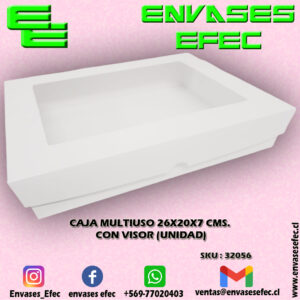 CAJA MULTIUSO 26X20X7 CMS. CON VISOR (UNIDAD)