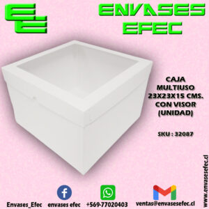 CAJA MULTIUSO 23X23X15 CMS. CON VISOR (UNIDAD)