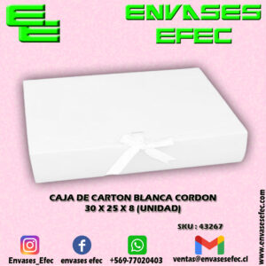CAJA DE CARTON BLANCA CORDON 30.0 X 25.0 X 8.0 (UNIDAD)