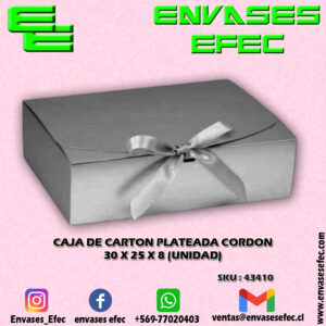 CAJA DE CARTON PLATEADA CORDON 30.0 X 25.0 X 8.0 (UNIDAD)