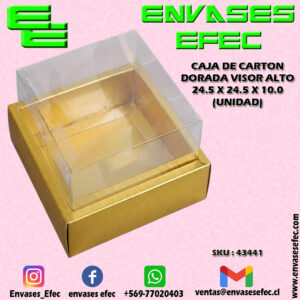 CAJA DE CARTON DORADA VISOR ALTO 24.5 X 24.5 X 10.0 (UNIDAD)