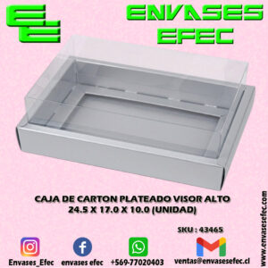 CAJA DE CARTON PLATEADA VISOR ALTO 24.5 X 17.0 X 10.0 (UNIDAD)