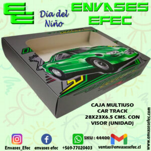 CAJA MULTIUSO CAR TRACK 28X23X6.5 CMS. CON VISOR (UNIDAD)